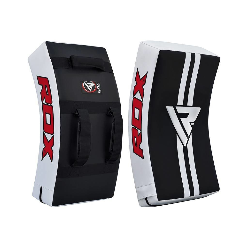 Sed sit amet posuere - Image 3